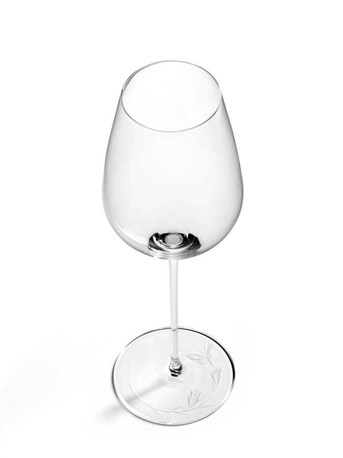 Unity Champagnerglas Dragonfly