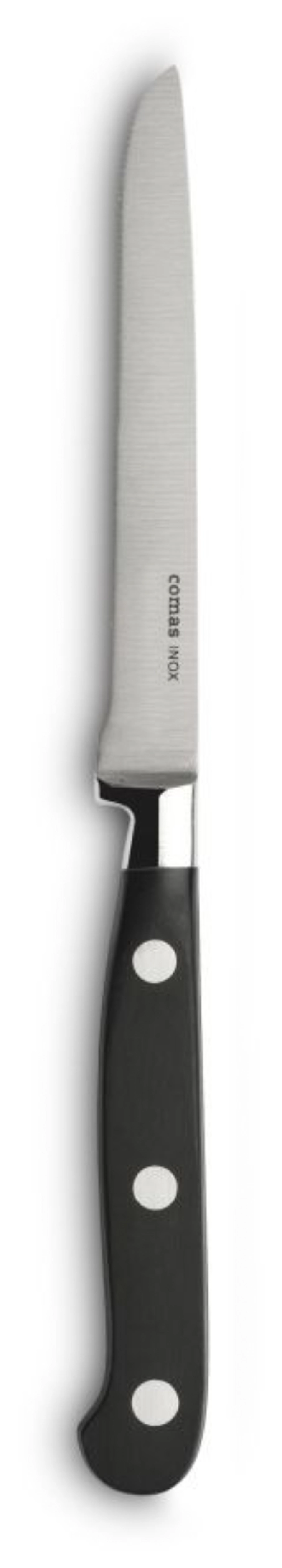 2er Set Eco Steakmesser