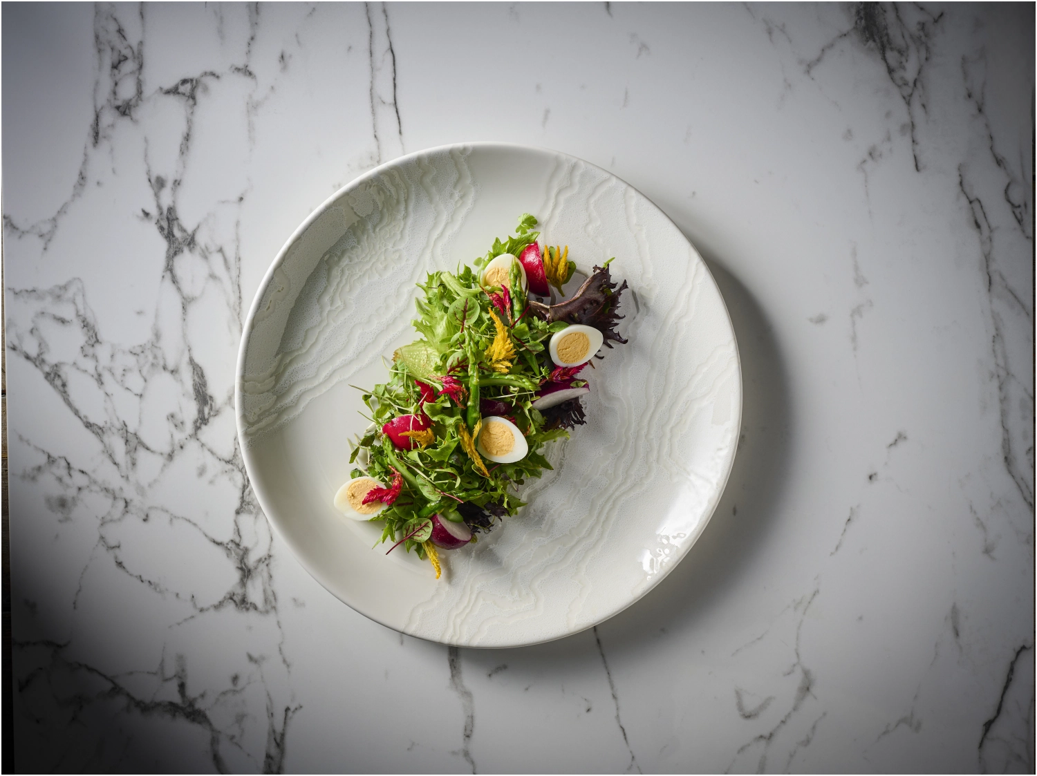 Tide White Coupe Teller tief