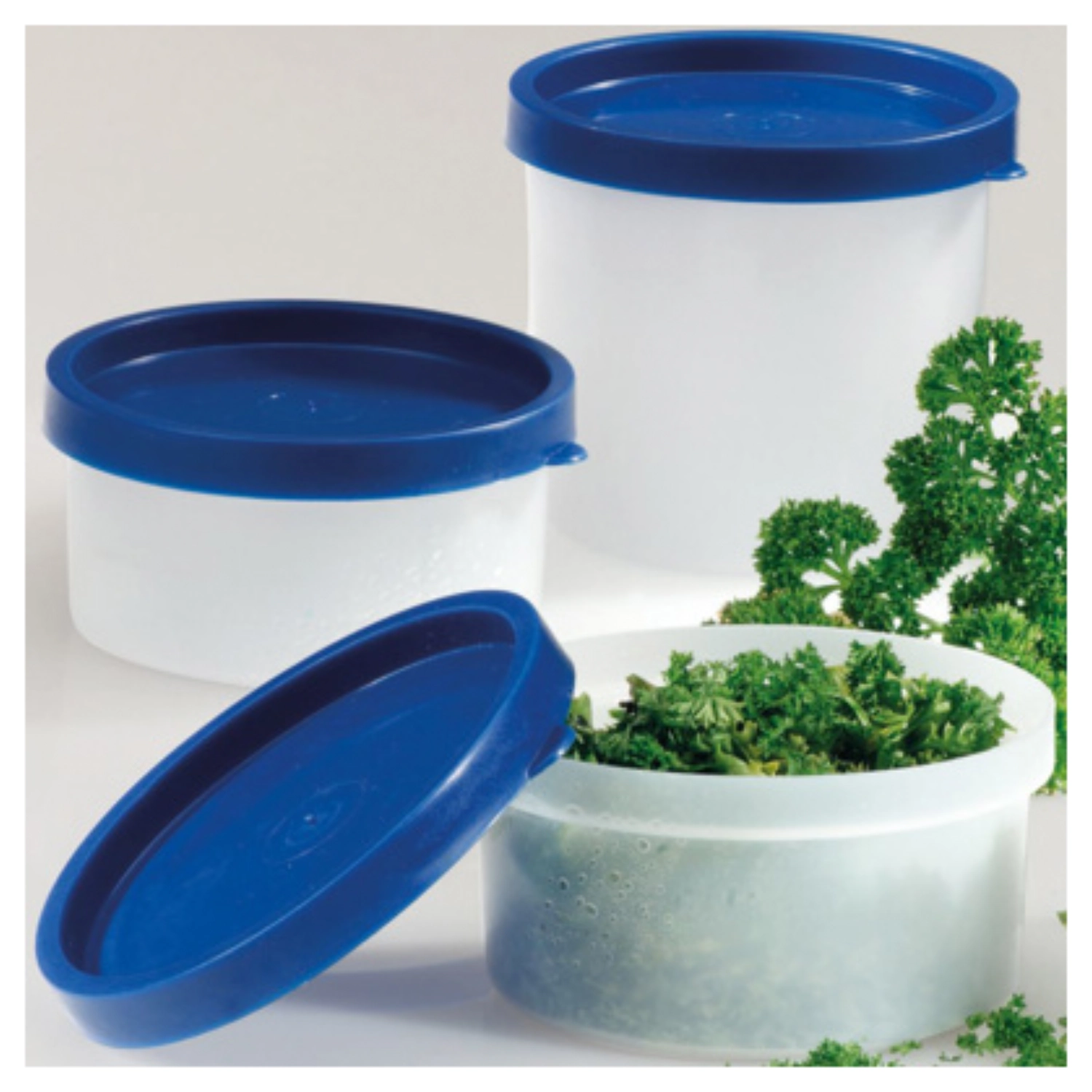 4 Stk. Kräuterdosen