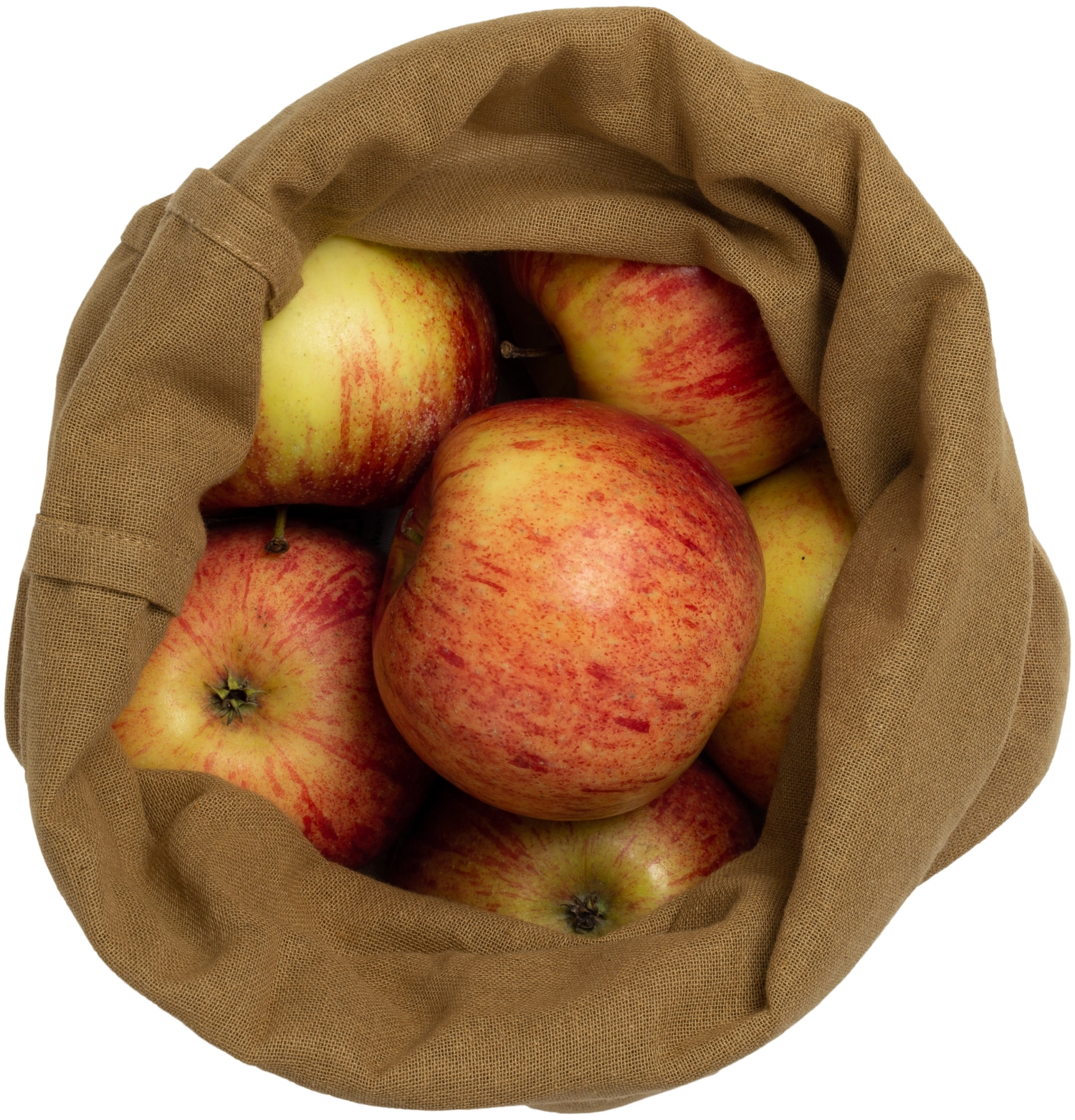 Food bag large Beutel