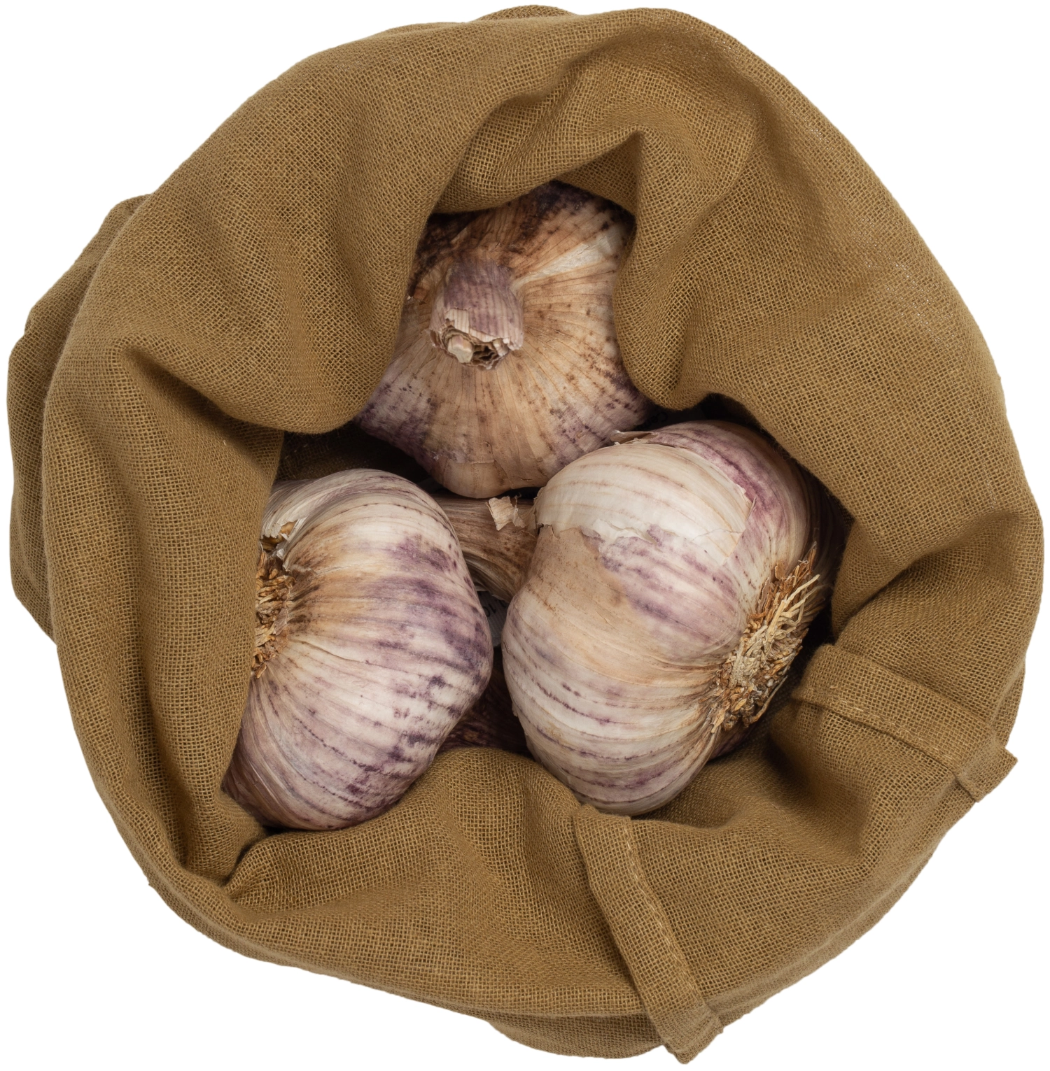 Food bag medium Beutel