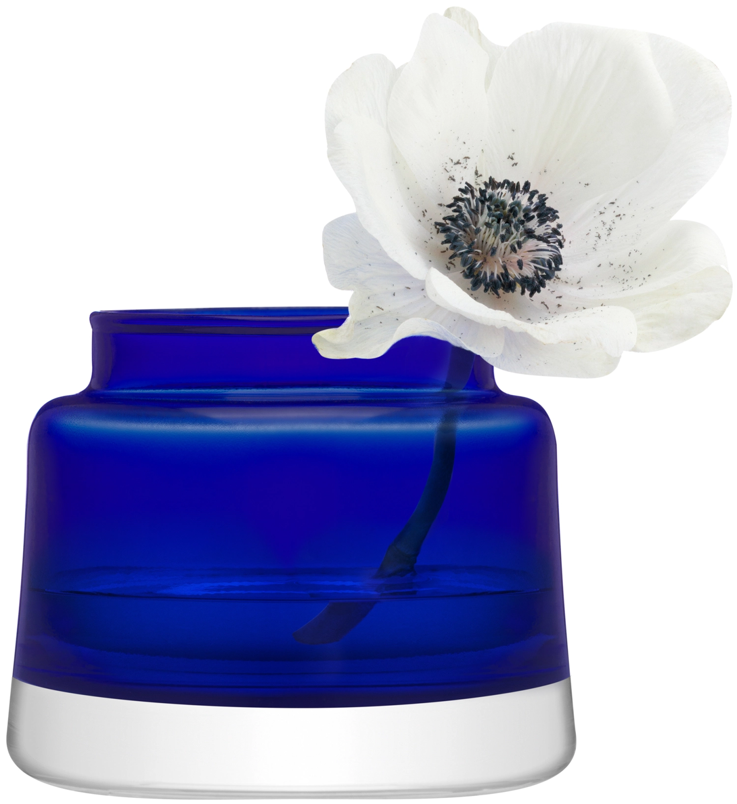 Collective vase / lanterne