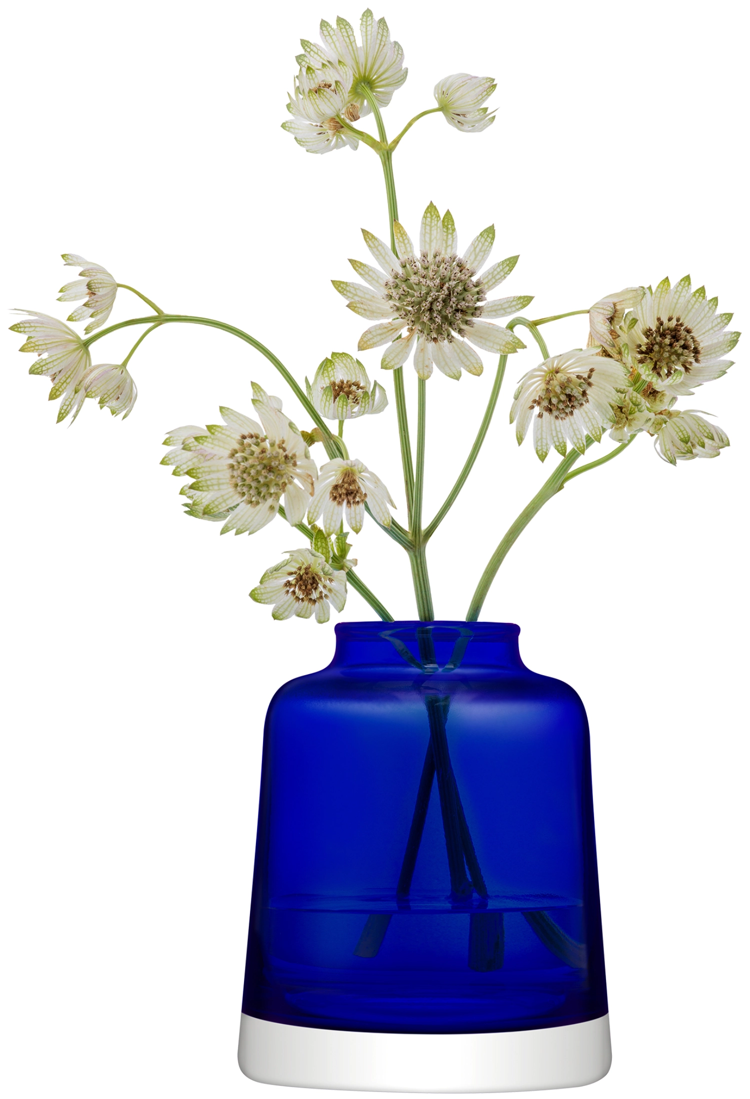 Collective Knospenvase