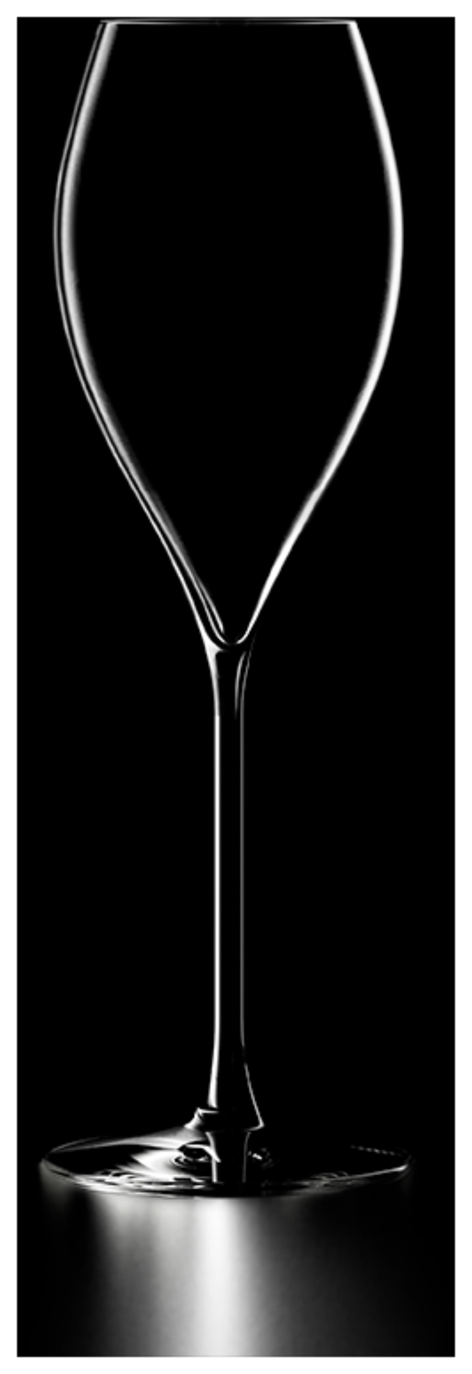 Excellence Champagnergals