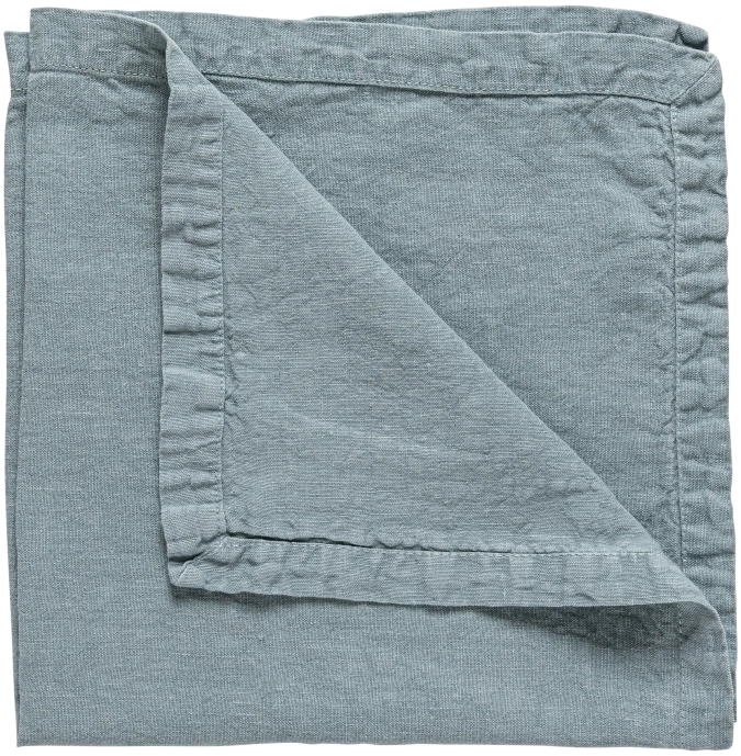 Maria Napkin
