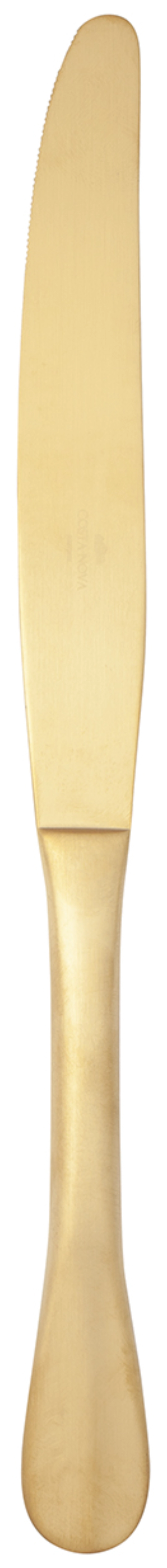 Nau Couteau de table
