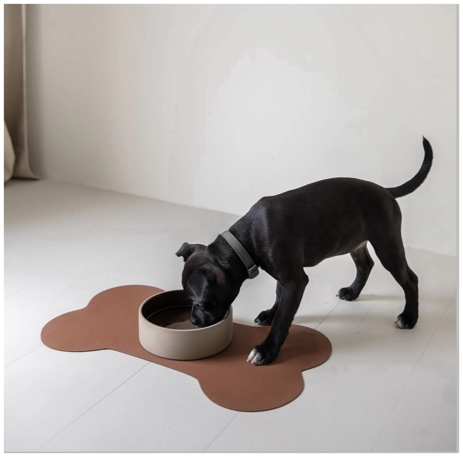 Napfunterlage Hund