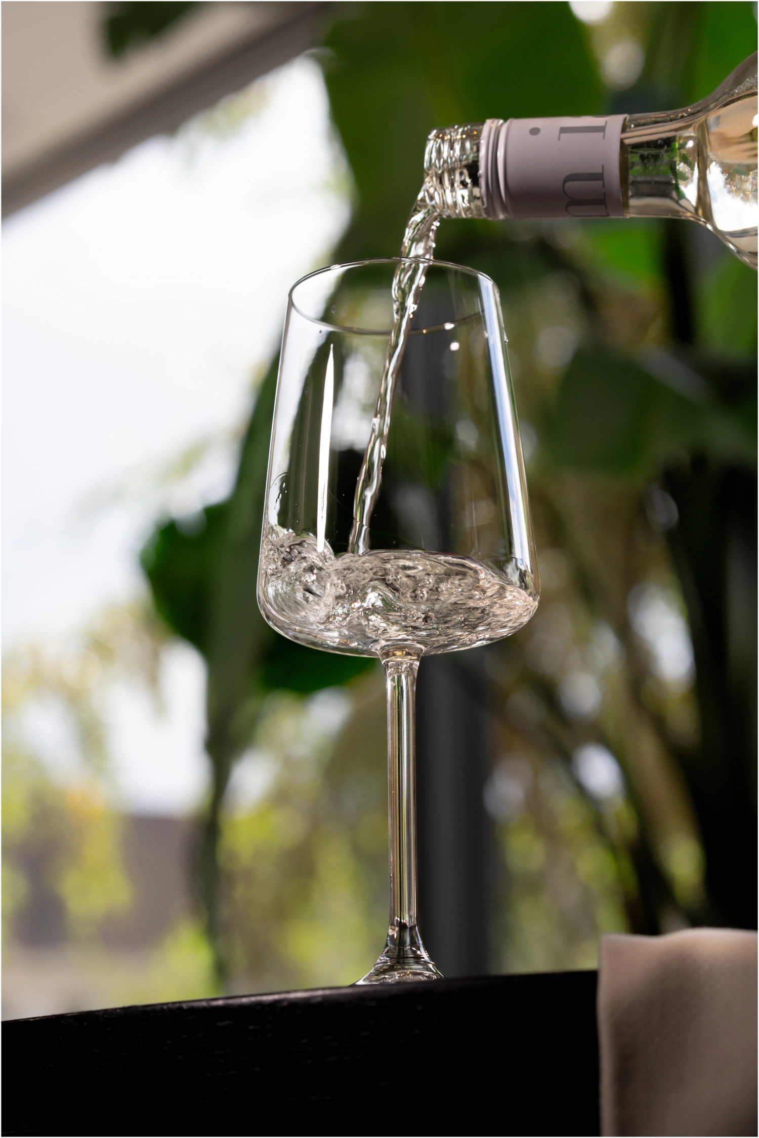6er Set Niveau Wine