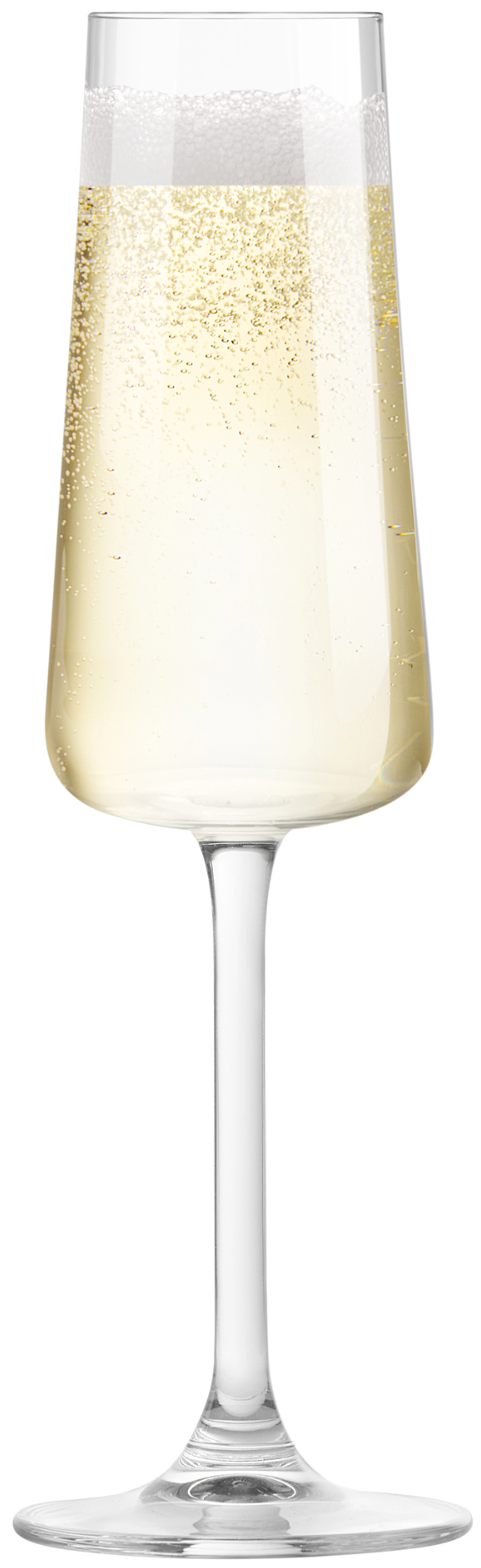 6er Set Niveau Champagne