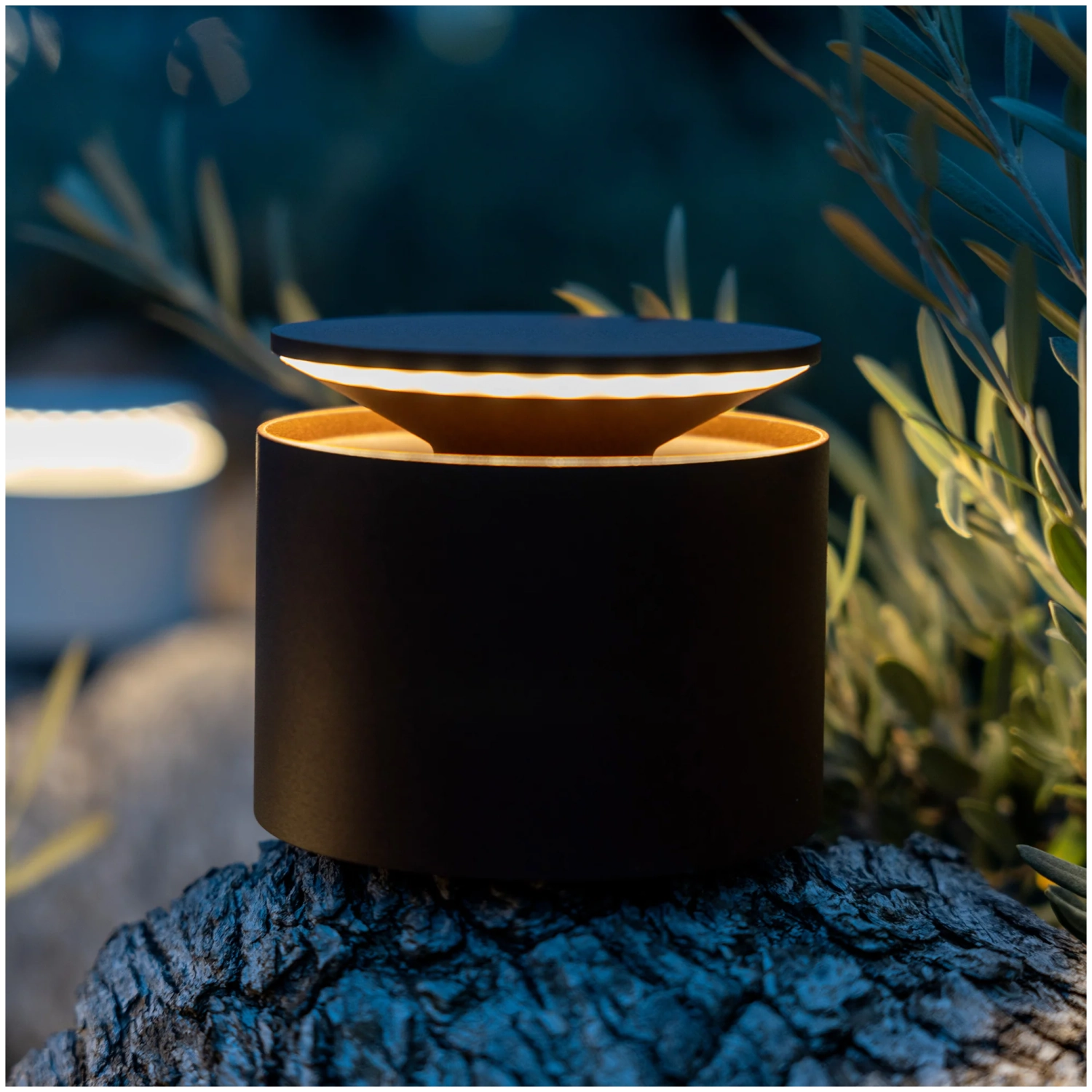 Lampe de table Push-Up