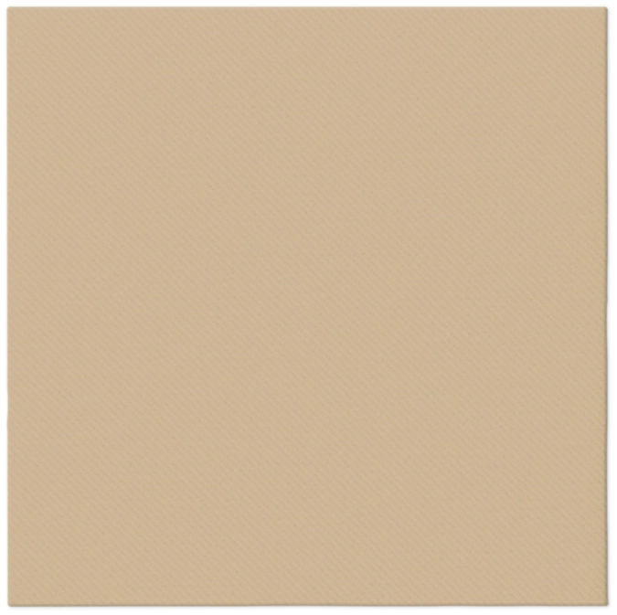 Serviettes de table 12x