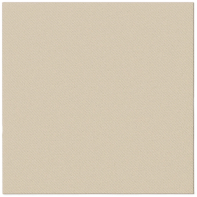 Serviettes de table 50x