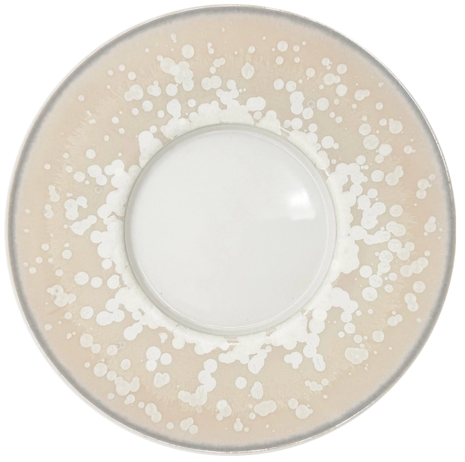 Assiette à pain Song Perle