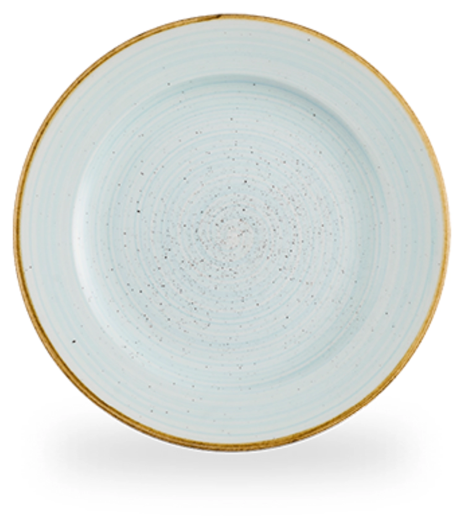 Stonecast Duck Egg blue Profile assiette plate