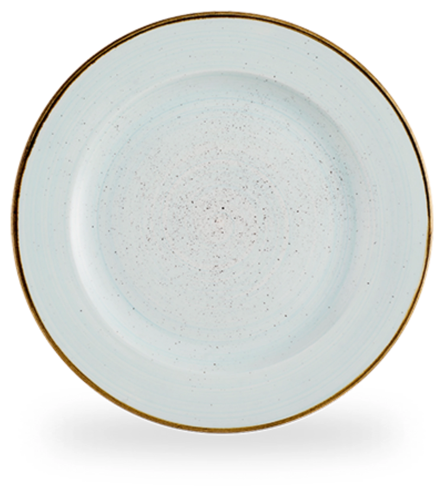 Stonecast Duck Egg blue Profile assiette plate