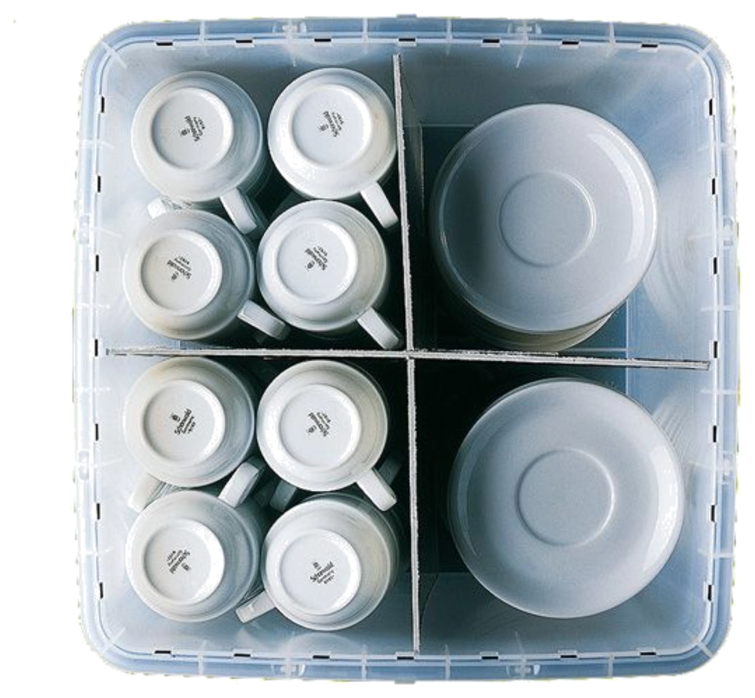 Fachteiler für Transportbox Unterteil