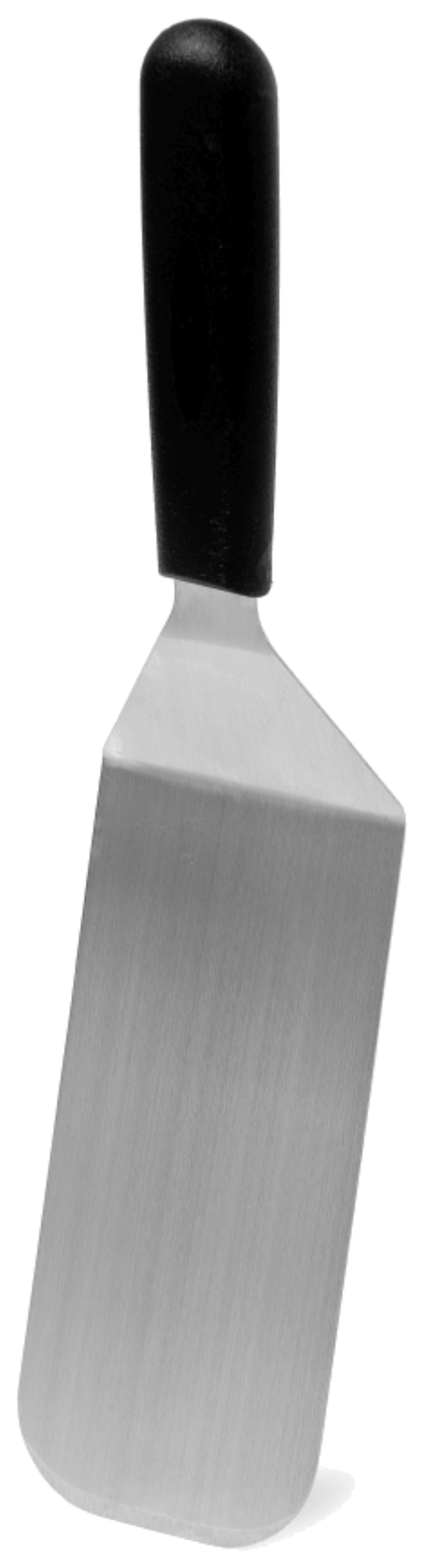 Spatule à poisson biseautée