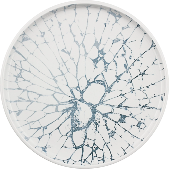 Assiette plate coupe lisse Shiro Cells